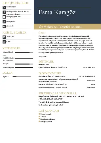 Yönetici Asistanı Cv Örnekleri cv indir